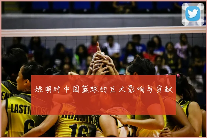 姚明对中国篮球的巨大影响与贡献