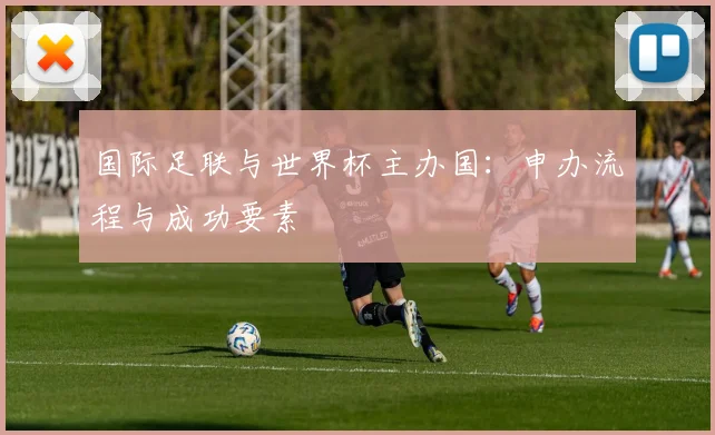 国际足联与世界杯主办国：申办流程与成功要素
