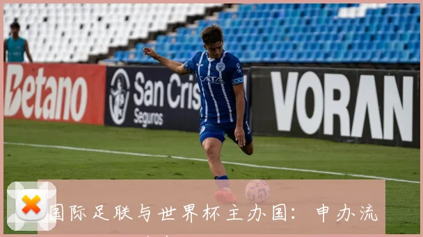 国际足联与世界杯主办国:申办流程与成功要素