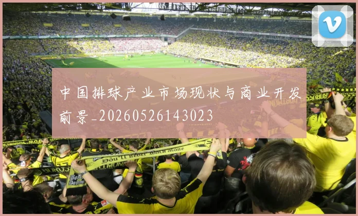 中国排球产业市场现状与商业开发前景_20260526143023