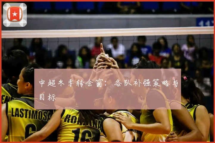 中超冬季转会窗：各队补强策略与目标